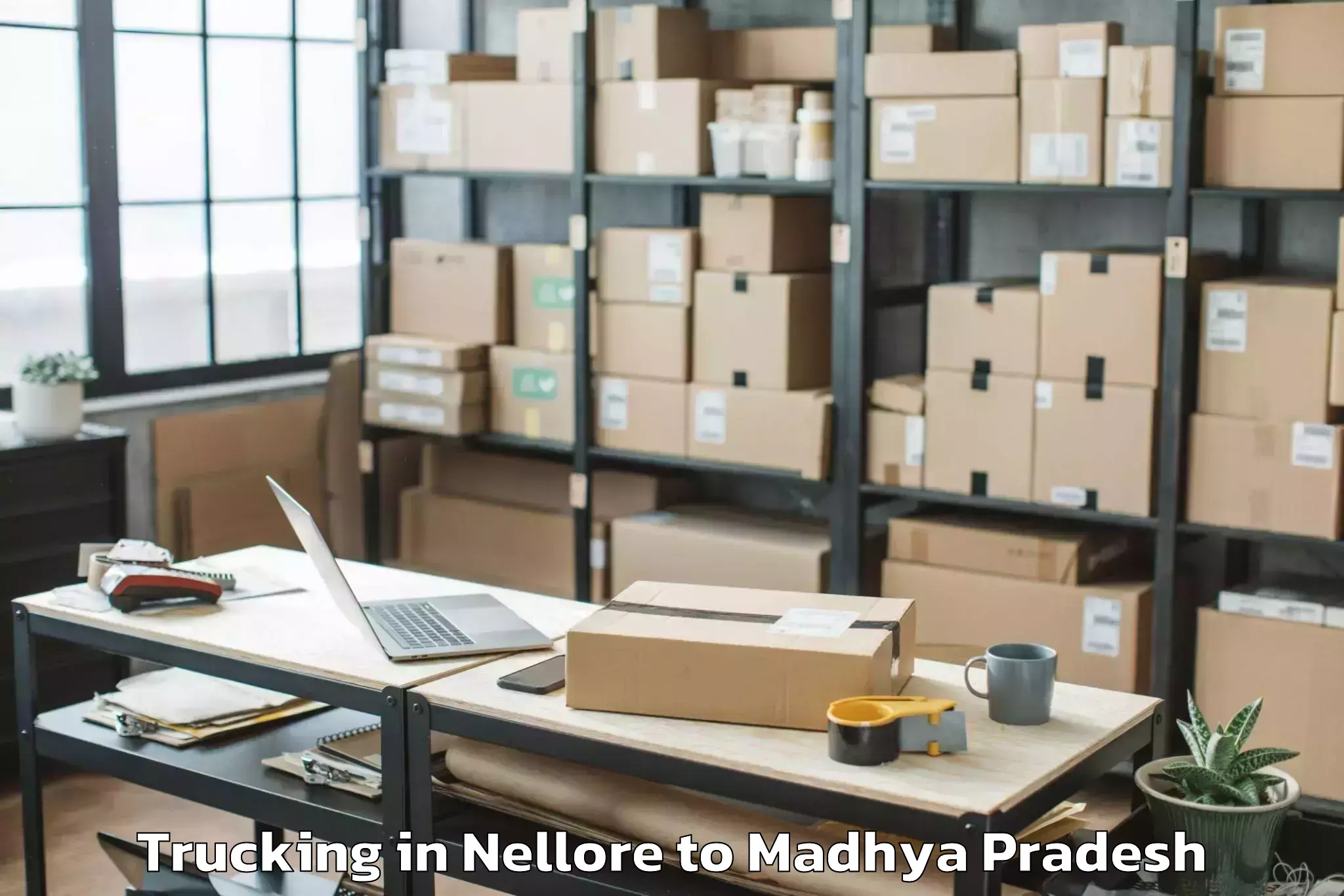 Reliable Nellore to Madhyanchal Professional Unive Trucking